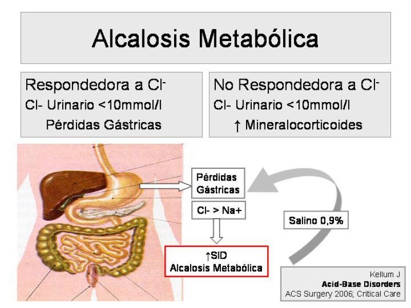 Diapositiva 19 de Trastorno Acido / Base