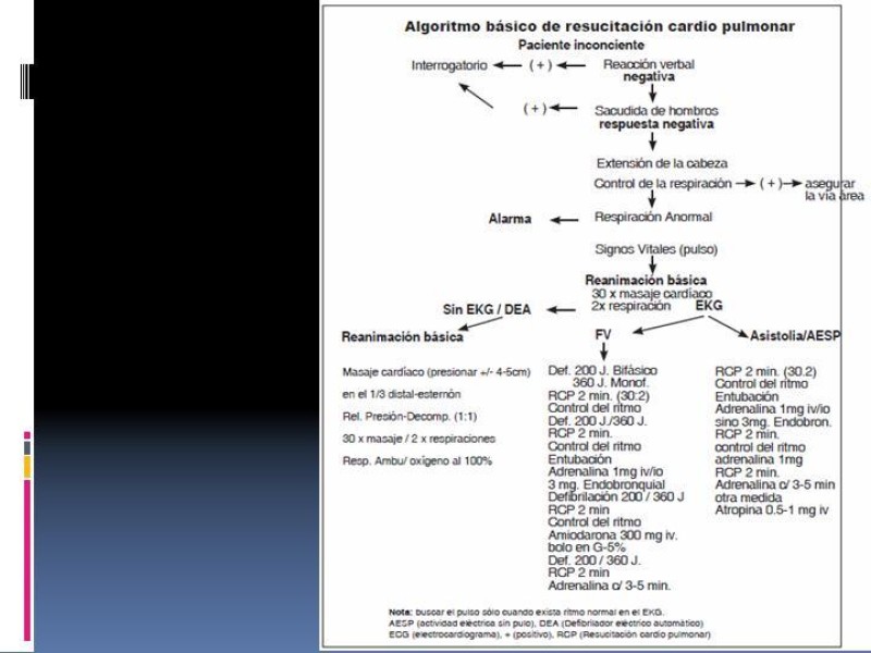 Diapositiva 20 de Actualización en PCR