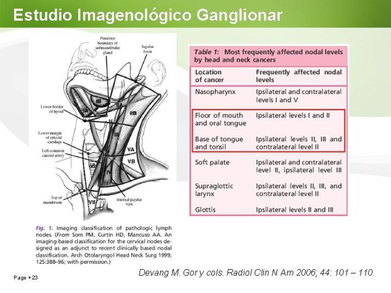 Diapositiva 22 de Cáncer de Lengua