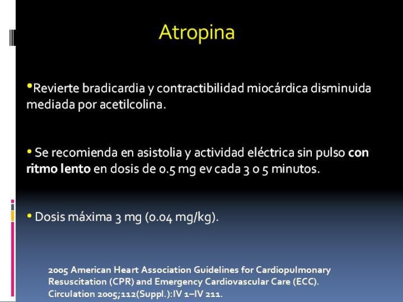 Diapositiva 17 de Actualización en PCR