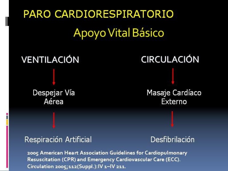 Diapositiva 7 de Actualización en PCR