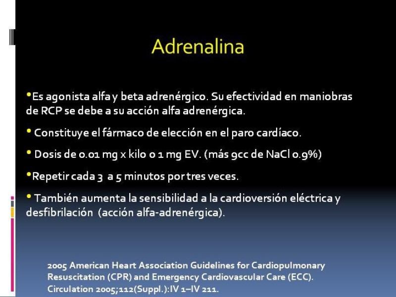 Diapositiva 15 de Actualización en PCR