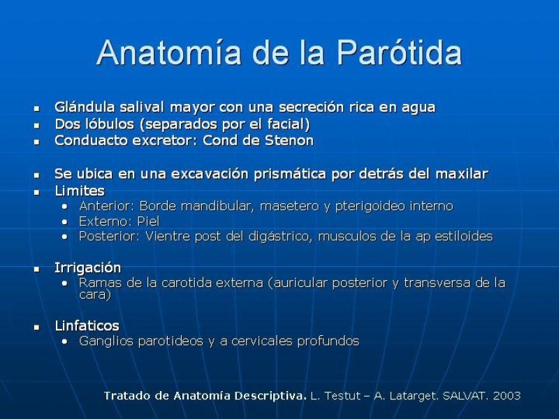 Diapositiva 1 de Tumores de las Glándulas Parótidas