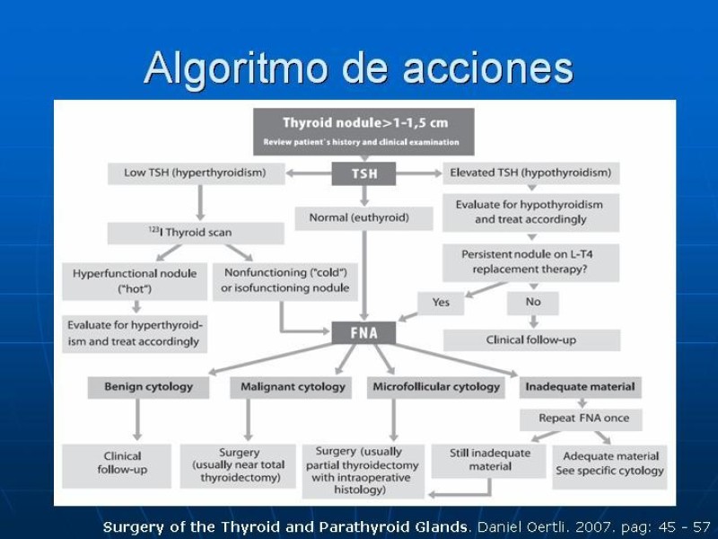 Diapositiva 21 de Estudio del Nódulo Tiroídeo