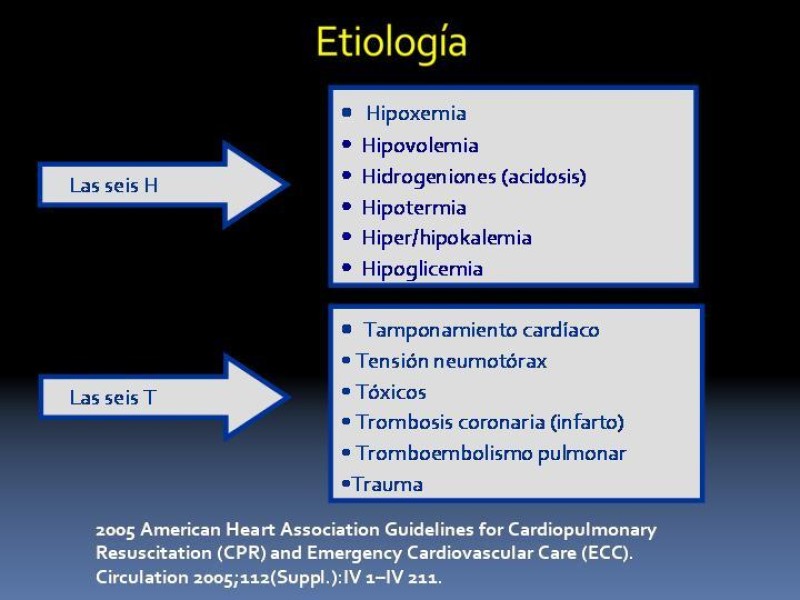 Diapositiva 5 de Actualización en PCR