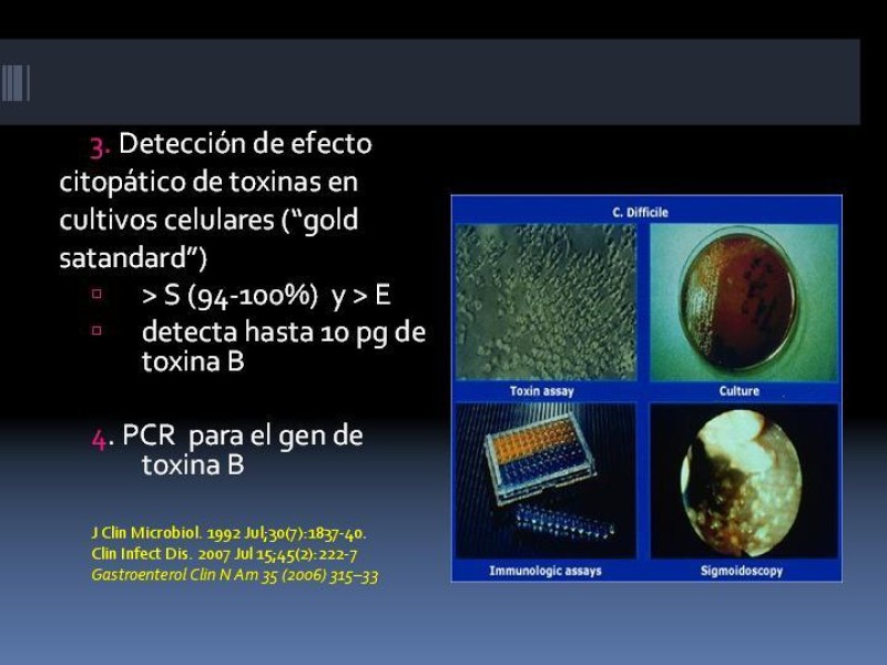 Diapositiva 15 de Diarrea asociada a antibióticos