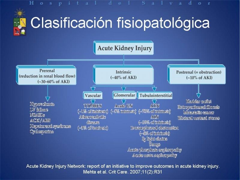 Diapositiva 5 de Falla Renal Aguda