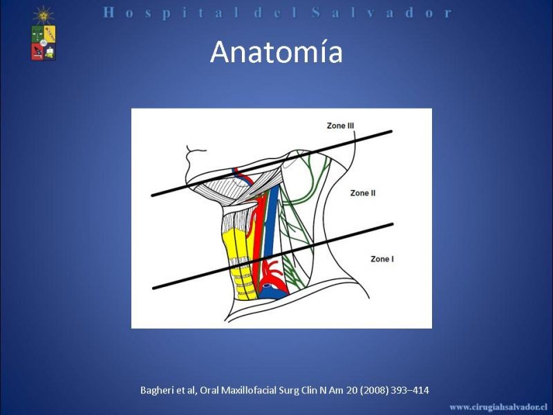 Diapositiva 4 de Trauma Vascular Cervical