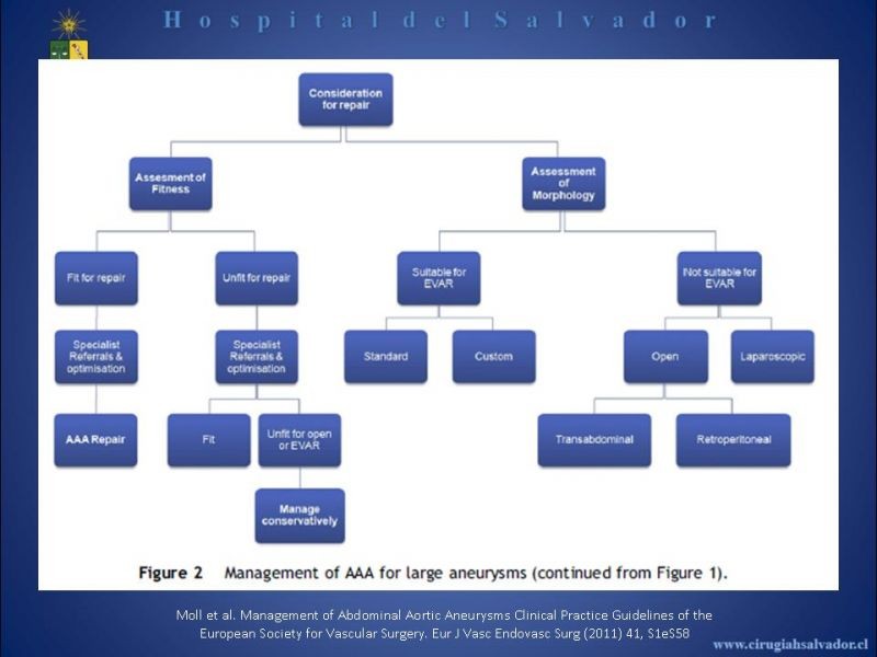 Diapositiva 8 de Abordaje de Aorta abdominal