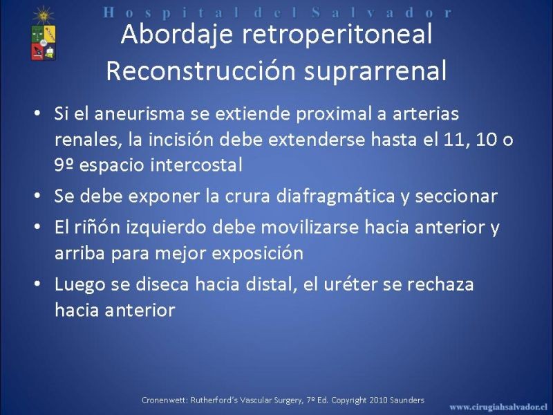 Diapositiva 23 de Abordaje de Aorta abdominal