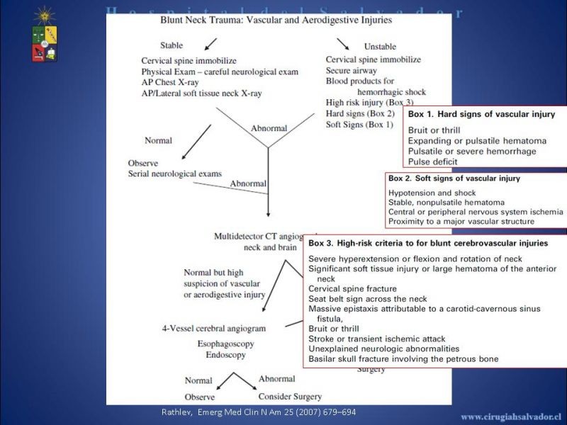 Diapositiva 27 de Trauma Vascular Cervical