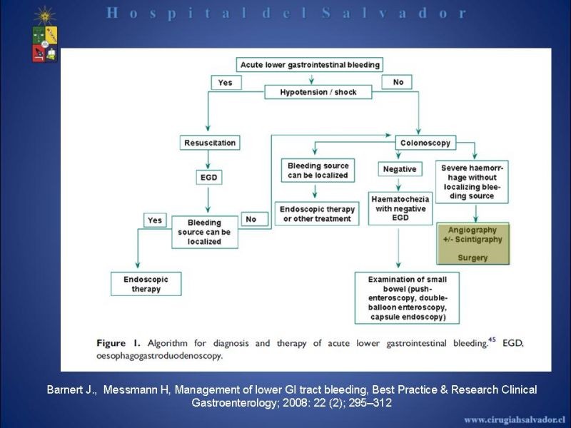 Diapositiva 5 de Angiografía en Hemorragia Digestiva