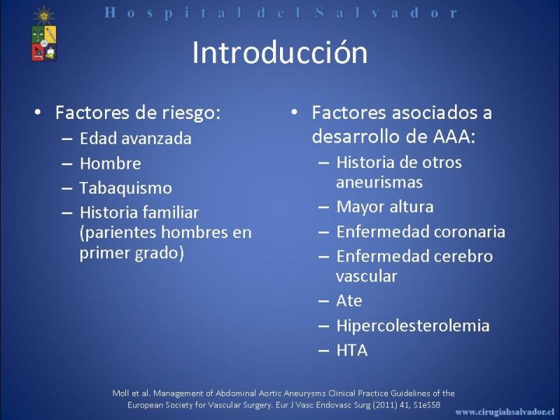 Diapositiva 3 de Abordaje de Aorta abdominal