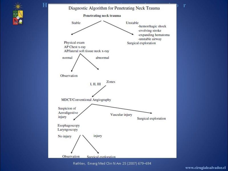 Diapositiva 26 de Trauma Vascular Cervical
