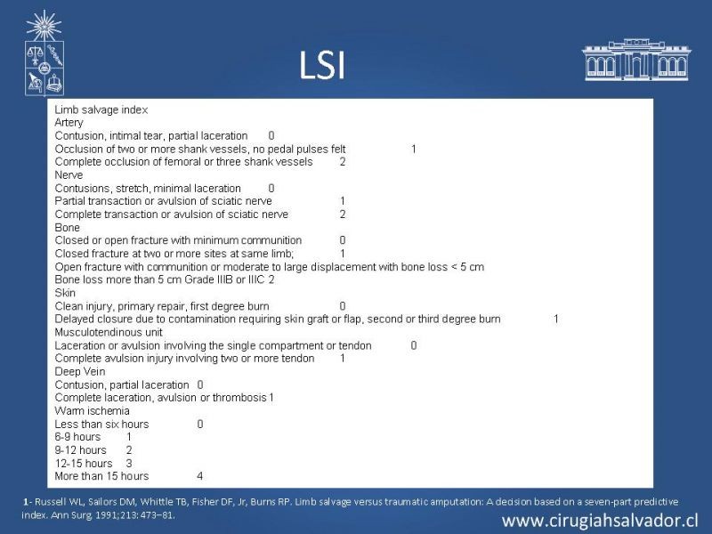 Diapositiva 17 de Score en Trauma de Extremidades