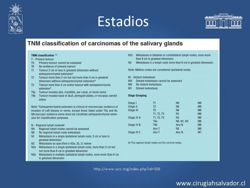 Diapositiva 14 de Tumores Glándulas Salivares