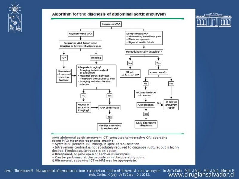 Diapositiva 35 de Aneurisma de Aorta Abdominal:Generalidades