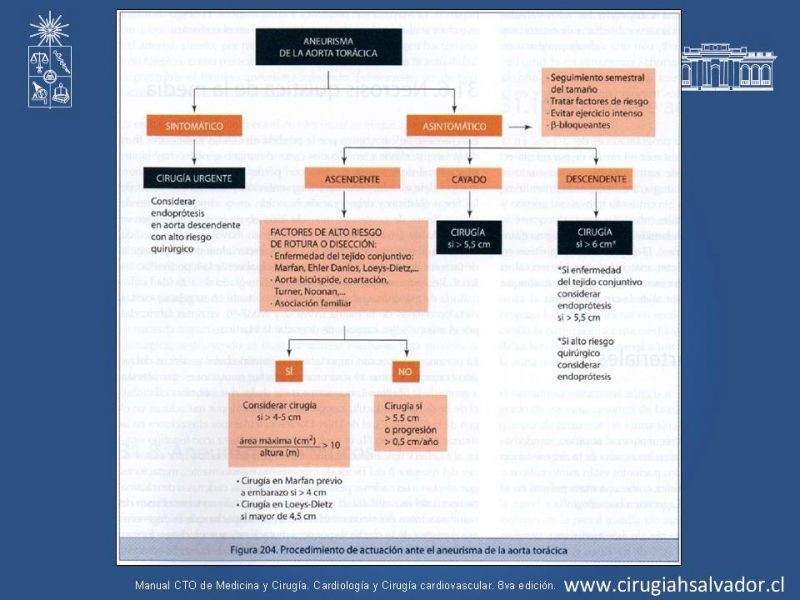 Diapositiva 10 de Reparación endovascular de aneurismas de aorta torácica (TEVAR)