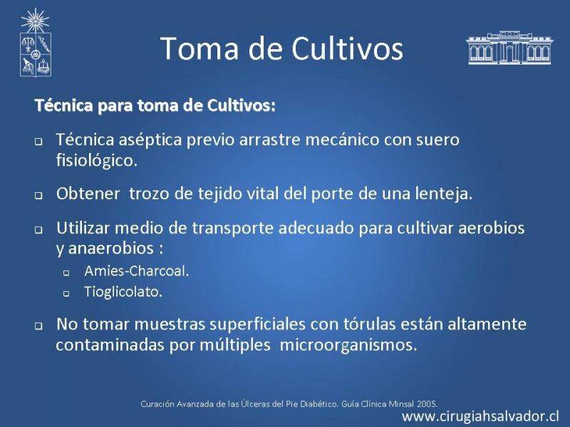 Diapositiva 10 de Pie Diabético: Curaciones Avanzadas