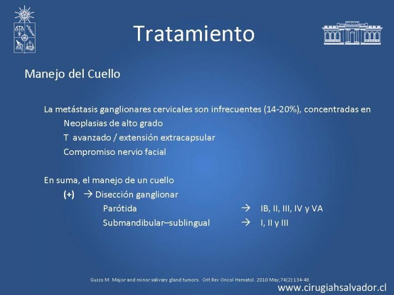 Diapositiva 26 de Tumores Glándulas Salivares