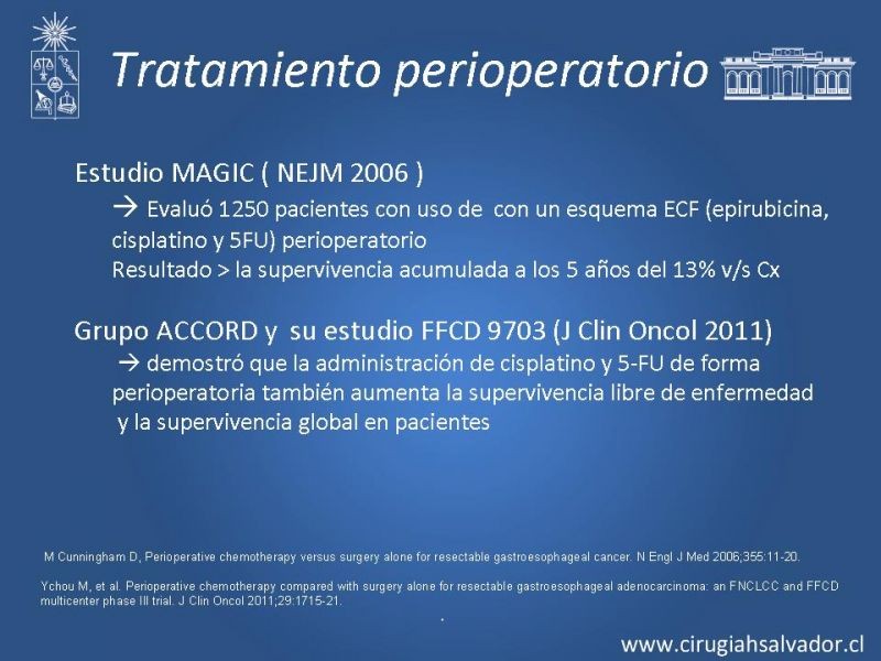 Diapositiva 13 de Cáncer Gástrico: Generalidades y Manejo    