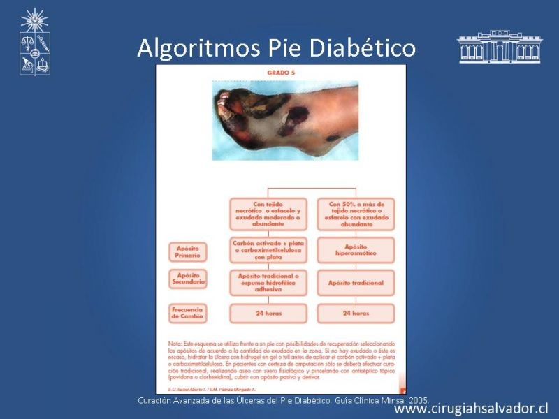 Diapositiva 45 de Pie Diabético: Curaciones Avanzadas