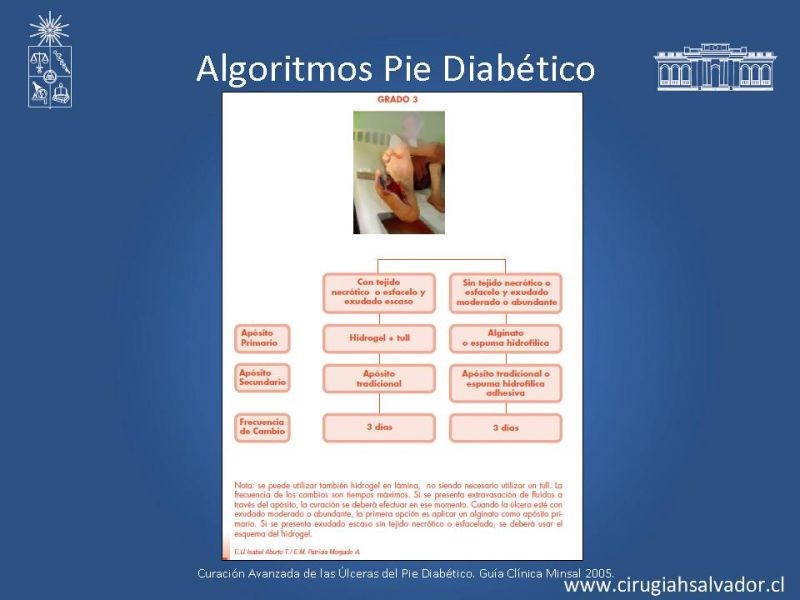 Diapositiva 42 de Pie Diabético: Curaciones Avanzadas