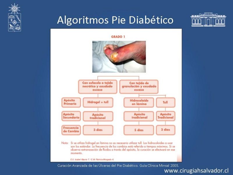 Diapositiva 39 de Pie Diabético: Curaciones Avanzadas