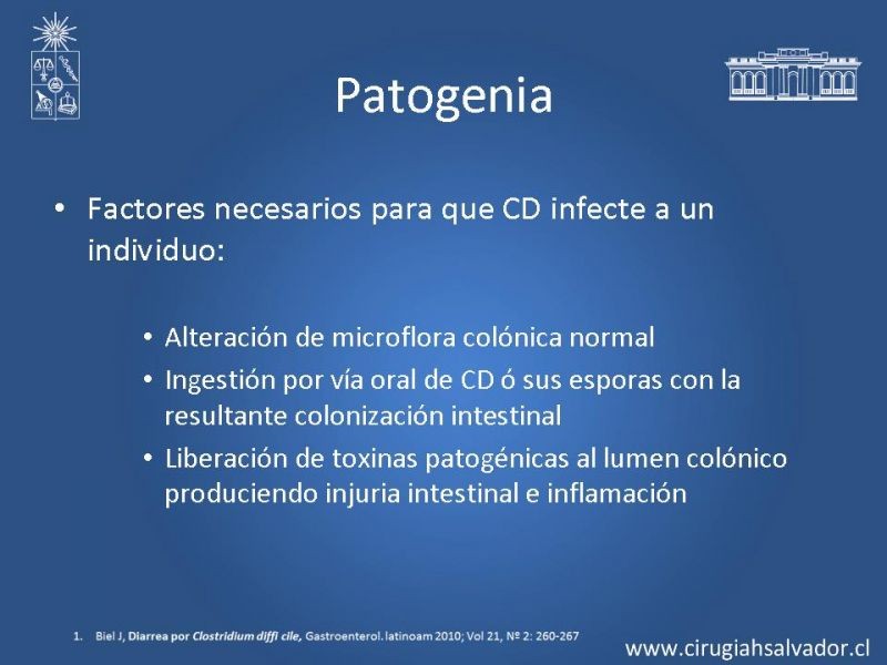Diapositiva 5 de Sindrome diarreico por Clostridium Difficille