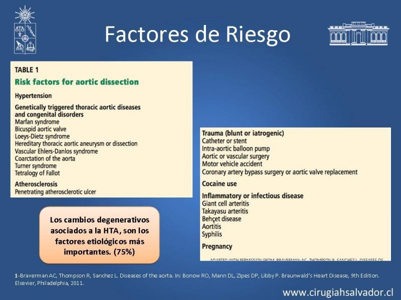 Diapositiva 7 de Manejo Disección Aórtica Tipo B