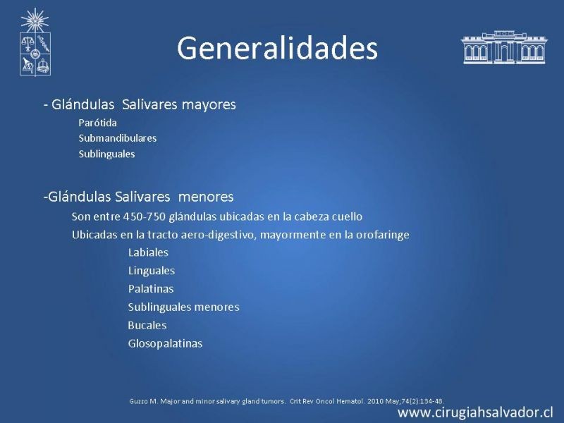 Diapositiva 3 de Tumores Glándulas Salivares
