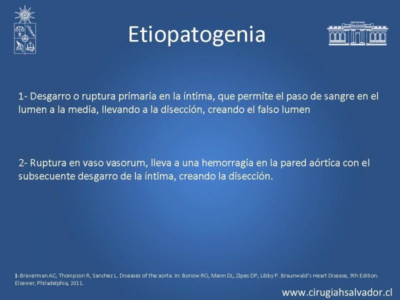 Diapositiva 6 de Manejo Disección Aórtica Tipo B