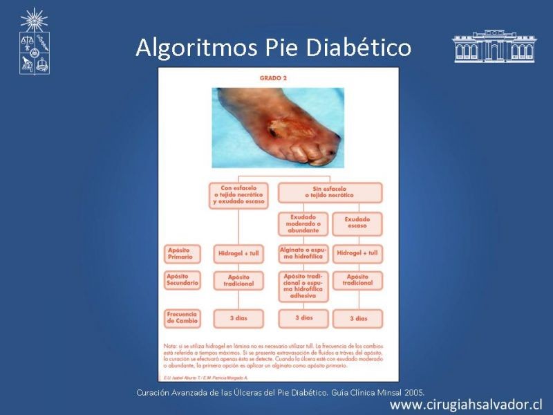 Diapositiva 40 de Pie Diabético: Curaciones Avanzadas