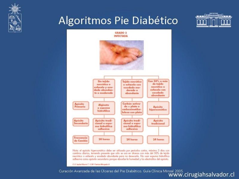Diapositiva 41 de Pie Diabético: Curaciones Avanzadas
