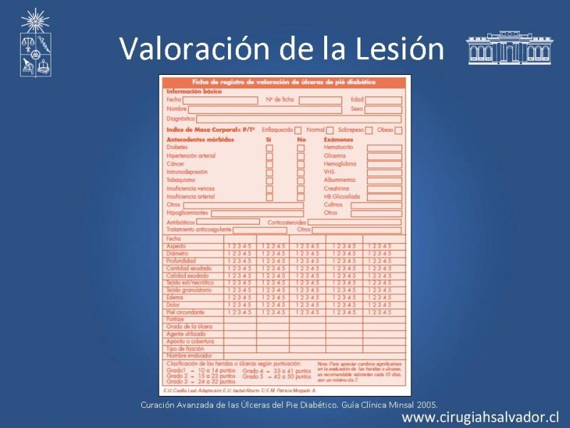 Diapositiva 6 de Pie Diabético: Curaciones Avanzadas
