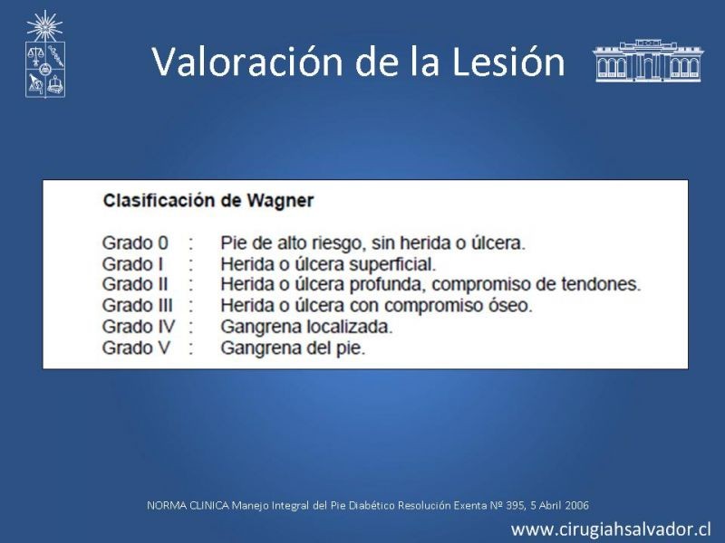 Diapositiva 8 de Pie Diabético: Curaciones Avanzadas
