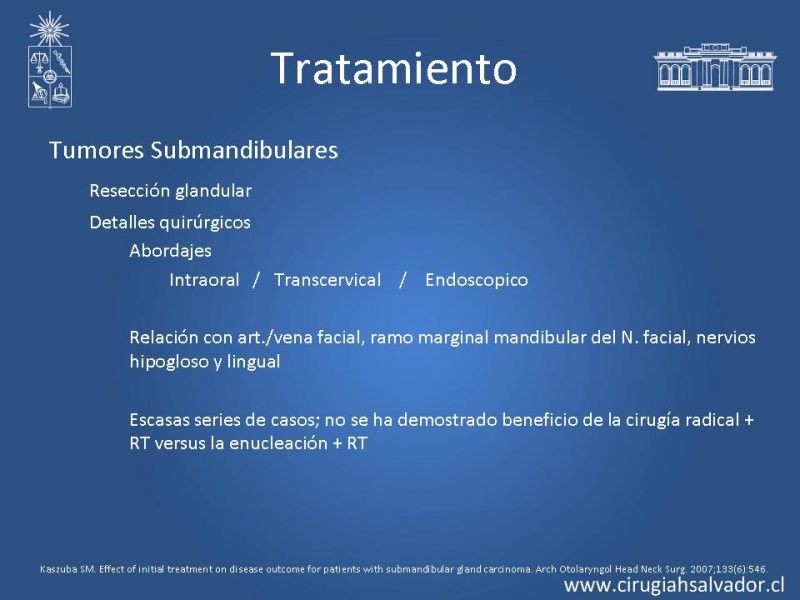 Diapositiva 24 de Tumores Glándulas Salivares