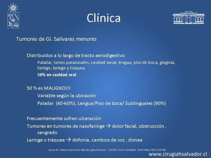 Diapositiva 11 de Tumores Glándulas Salivares