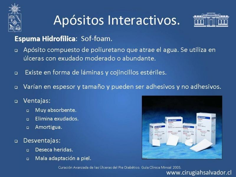 Diapositiva 27 de Pie Diabético: Curaciones Avanzadas