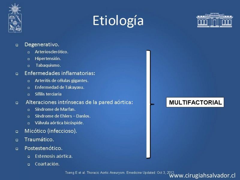 Diapositiva 6 de Aneurisma de Aorta Abdominal:Generalidades