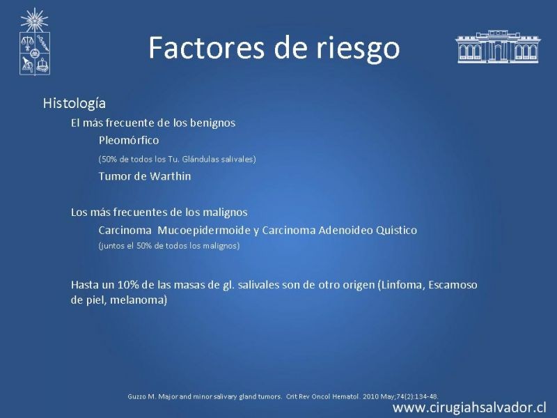 Diapositiva 7 de Tumores Glándulas Salivares