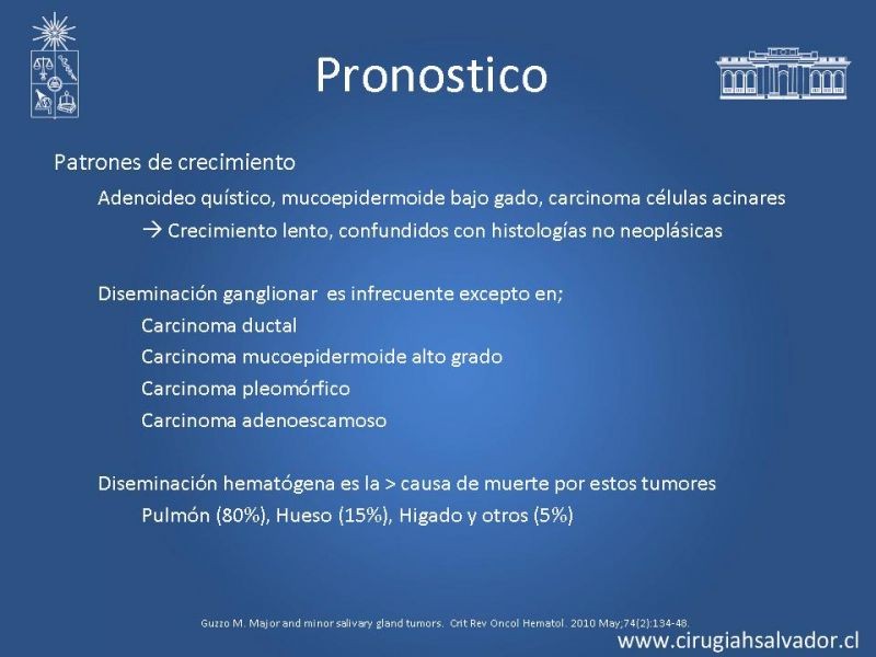 Diapositiva 17 de Tumores Glándulas Salivares