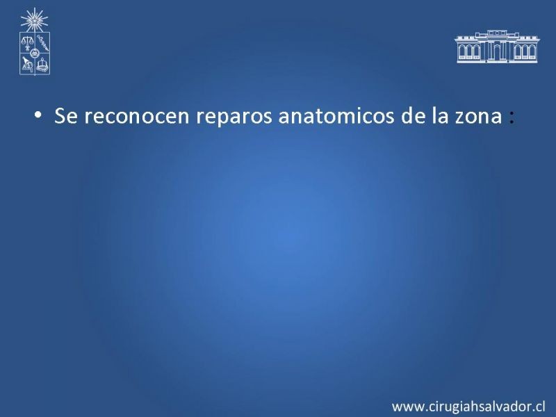 Diapositiva 32 de Hernia Crural 1