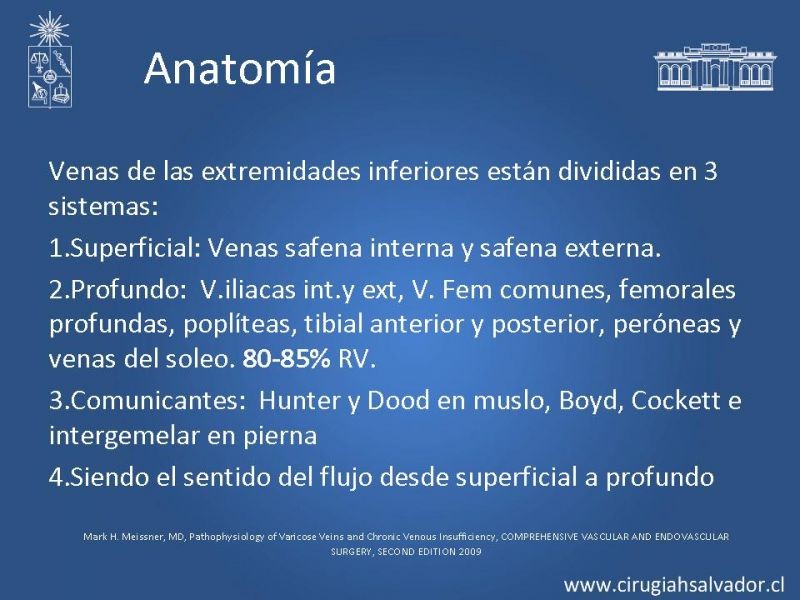 Diapositiva 4 de Insuficiencia Venosa superficial