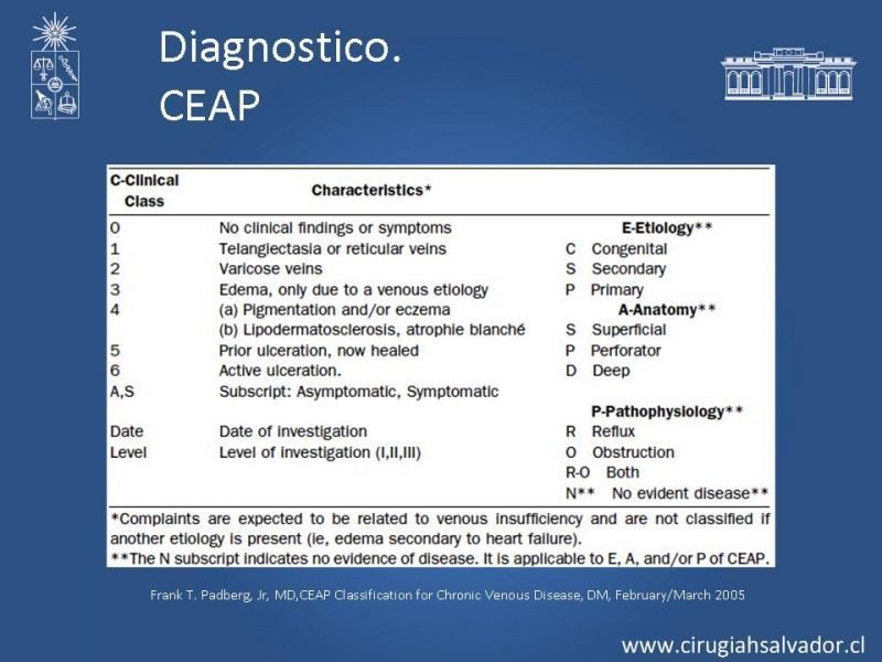 Diapositiva 11 de Insuficiencia Venosa superficial
