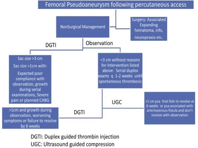Diapositiva 24 de Pseudoaneurisma Post Angiografía