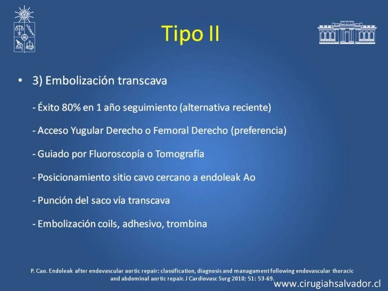 Diapositiva 29 de Endoleak post EVAR