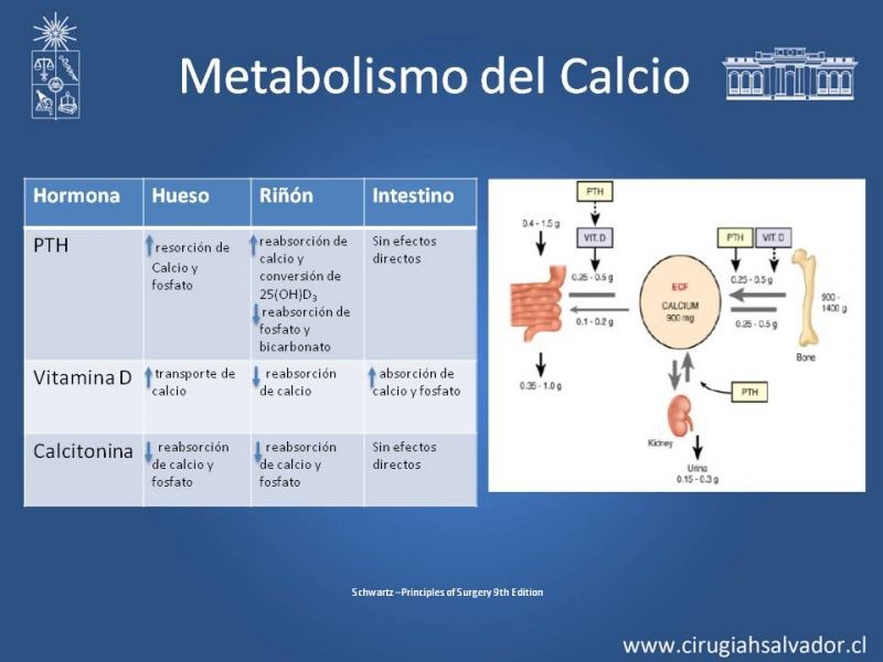 Diapositiva 6 de Hipoparatiroidismo post Tiroidectomía