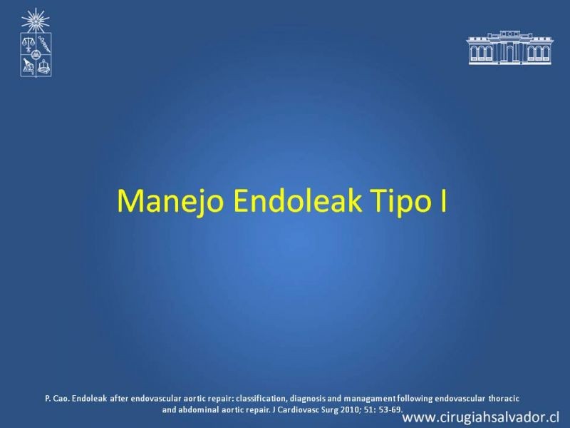 Diapositiva 12 de Endoleak post EVAR