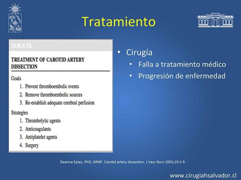 Diapositiva 15 de Disección carotidea